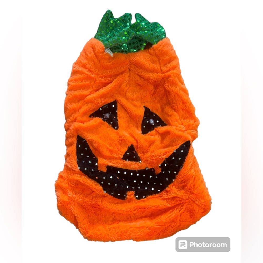 Dog Costume Pumpkin With Light Up Eyes Size Large